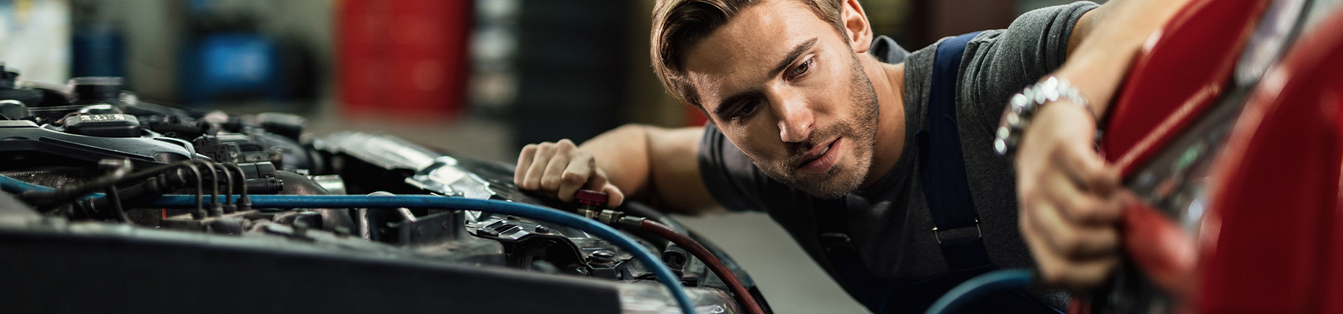 Trabaja con nosotros