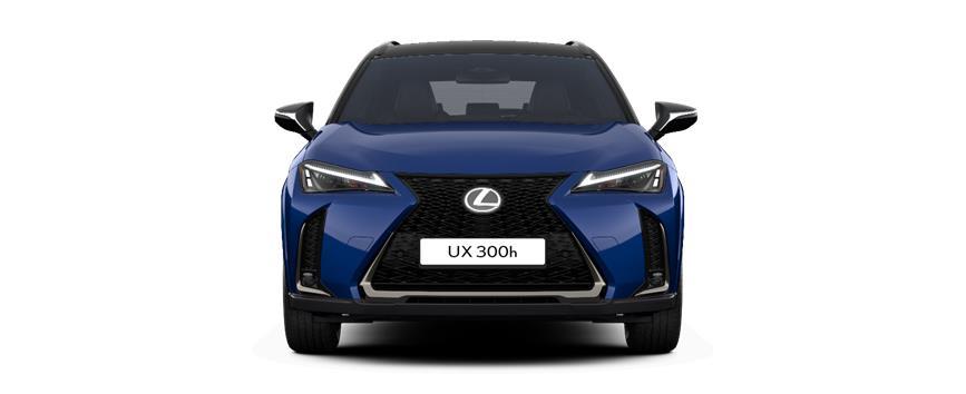 Lexus 360
